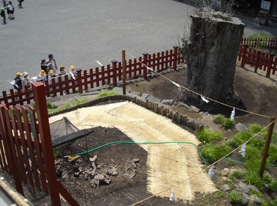 DSCN0108-5-T.jpg